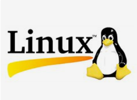 基于PCI總線的高速數(shù)據(jù)采集卡的linux驅動